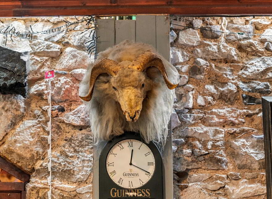 The Thatch, Traditional Bar & Restaurant, Killenard, R32NNP8