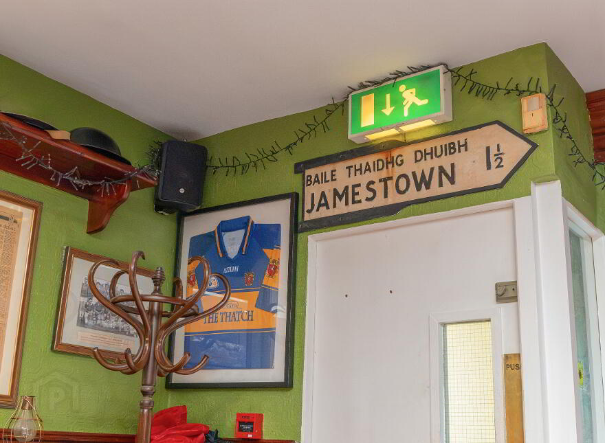 The Thatch, Traditional Bar & Restaurant, Killenard, R32NNP8