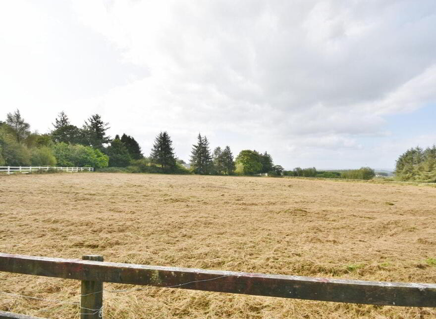 Meenkilly, Abbeyfeale, V94DX7P