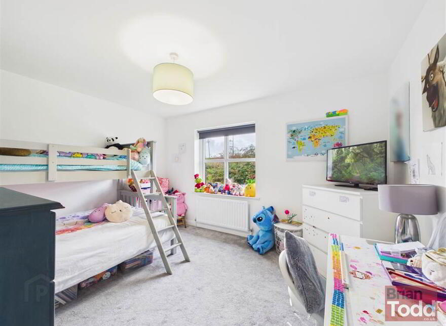 Blackthorn Rise, Larne, BT40 2HJ