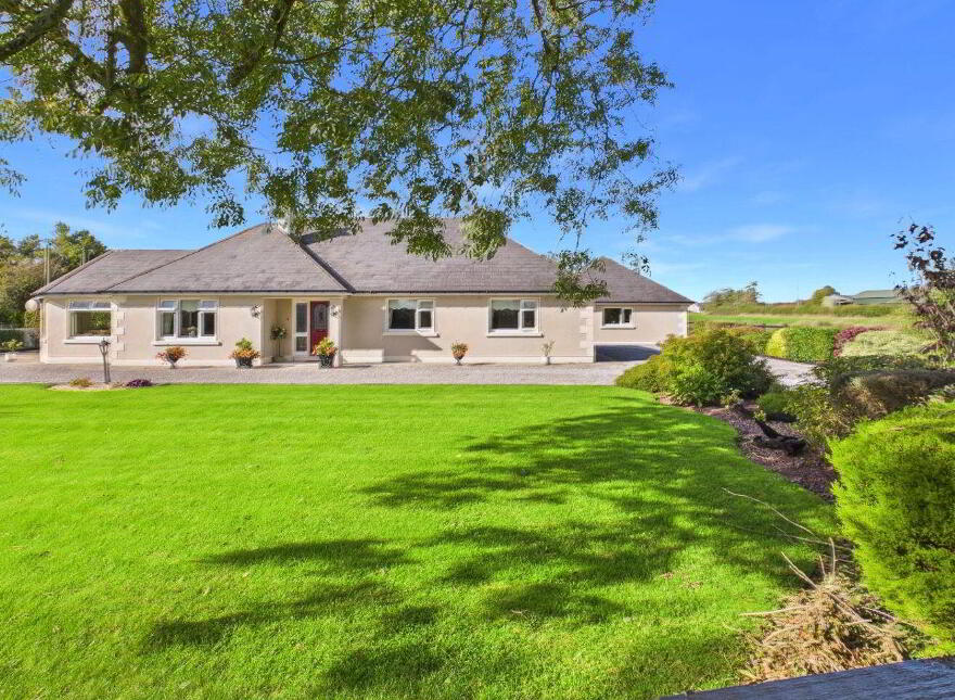 Cuddagh South, Ballacolla, R32X9R7 photo