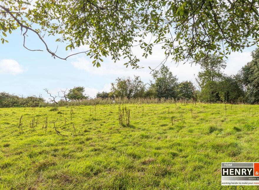 75 Cadian Road, Eglish, Dungannon, BT70 1LZ
