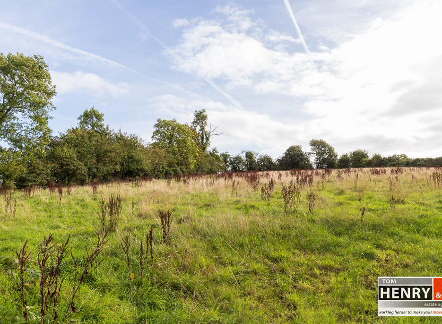 75 Cadian Road, Eglish, Dungannon, BT70 1LZ