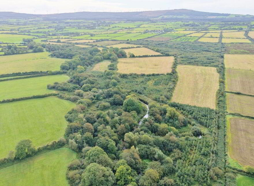 Farran, Kilflynn, V92H5H2