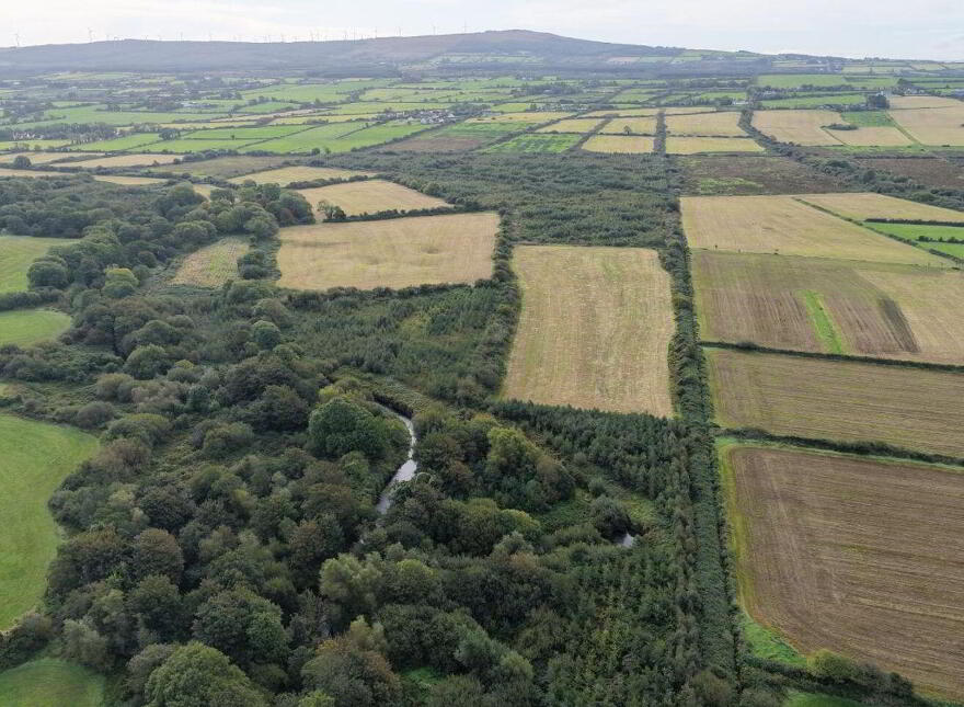 Farran, Kilflynn, V92H5H2