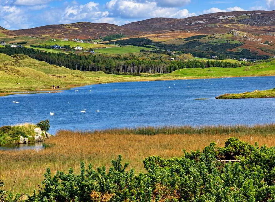 Castlebane, Dunfanaghy, F92XR26