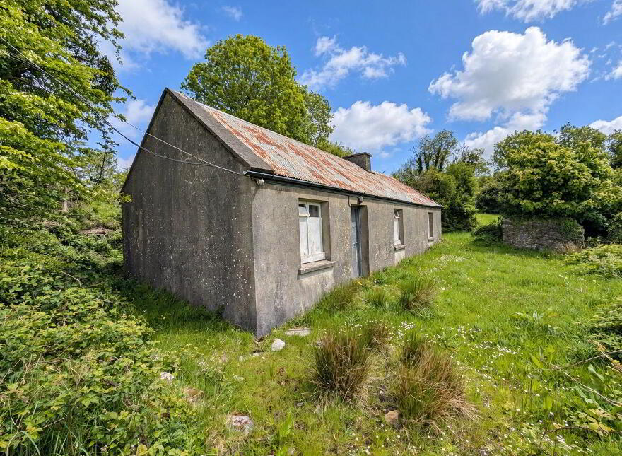 Carrowreagh, Meelick, Swinford