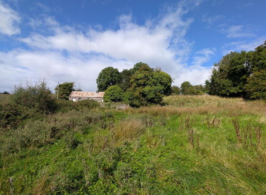 Carrowreagh, Meelick, Swinford