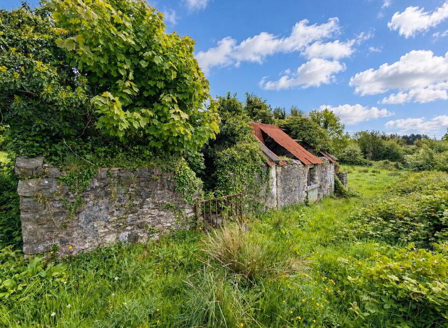 Carrowreagh, Meelick, Swinford