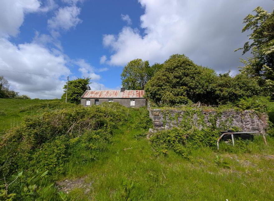 Carrowreagh, Meelick, Swinford