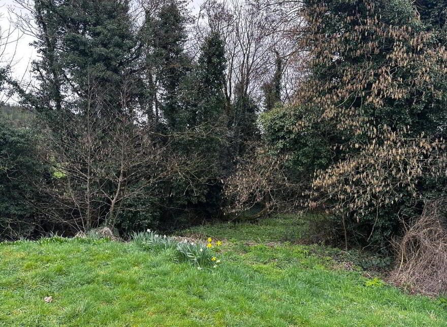 Clomantagh Farmhouse, Clomanatagh, Clonmantagh, E41VP71