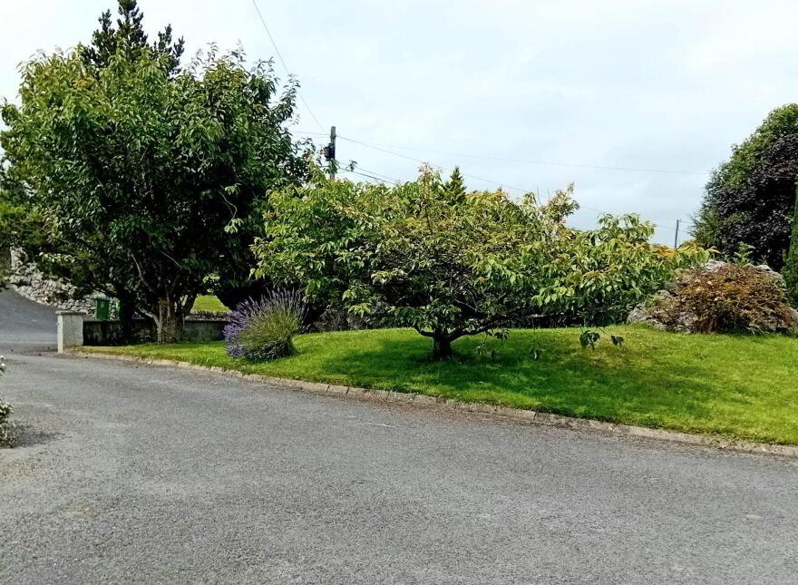 Ballinacarriga, Kildimo, V94W56X
