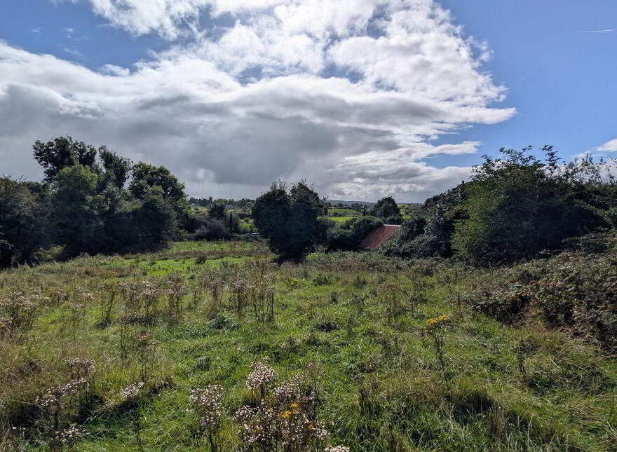 Carrowreagh, Foxford