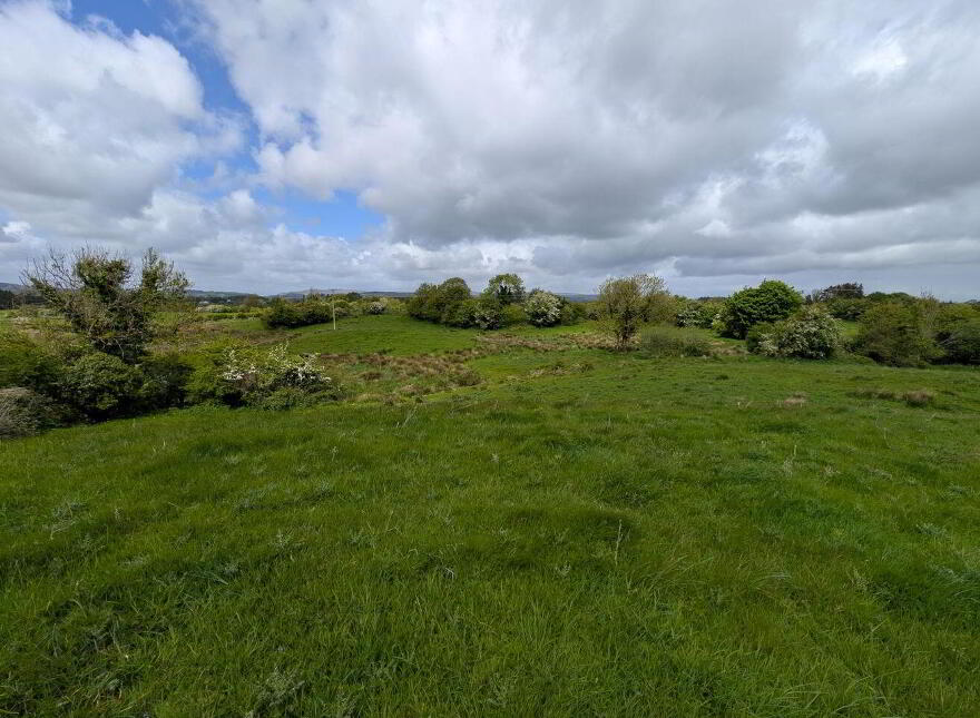 Carrowreagh, Foxford