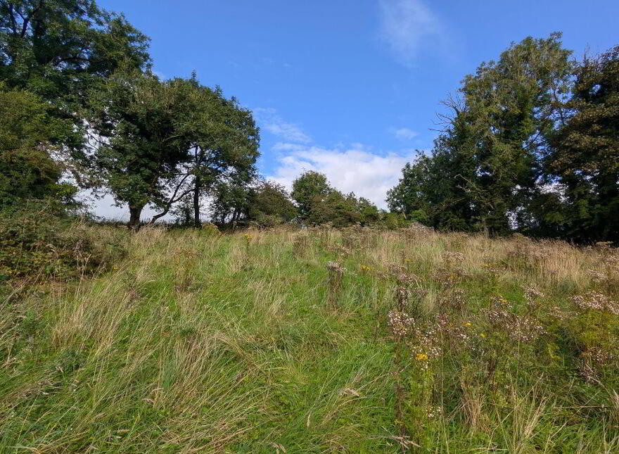 Carrowreagh, Foxford
