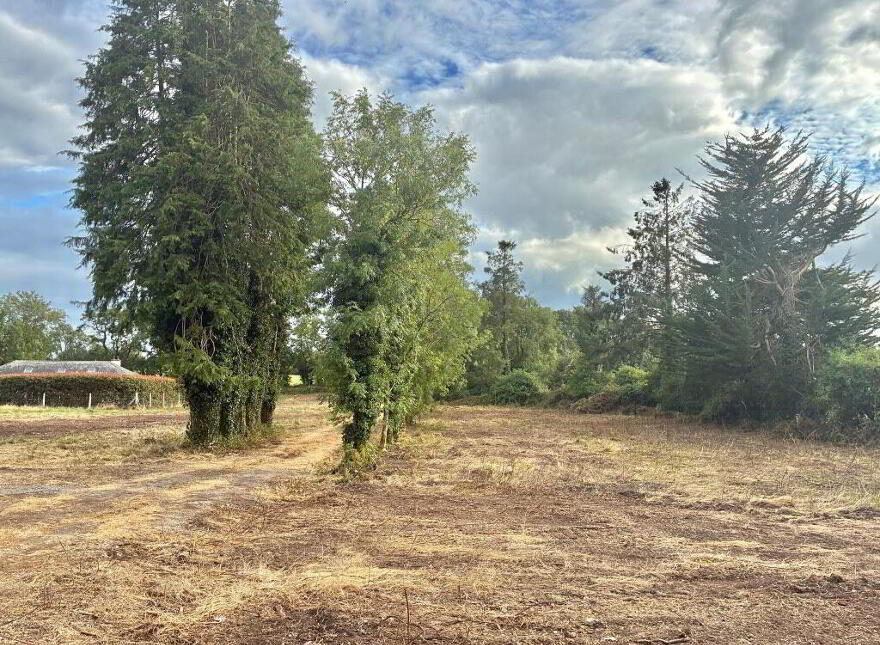 Substantial Detached Home 2.72 Acres, Cregg House, Clashmore, P36RP86