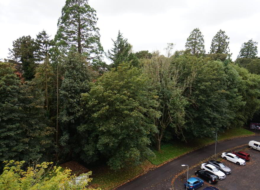 7c Ferndale House, Dunmurry, Belfast, BT17 9DB