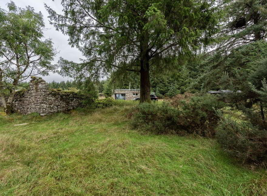Quintagh, Granabeg, Granabeg, W91AYX6