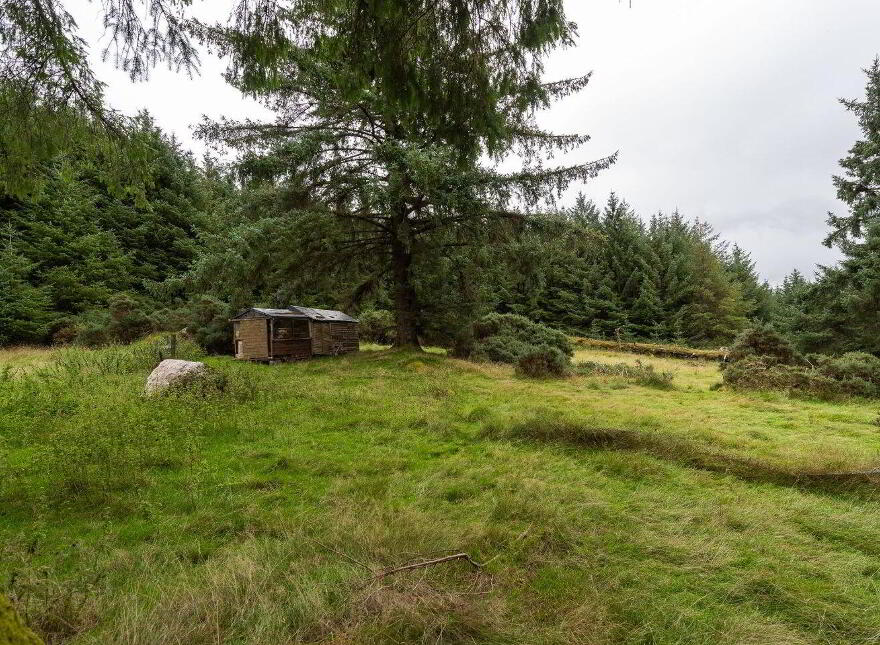 Quintagh, Valleymount, W91AYX6