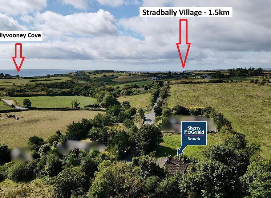 The Hideaway, Carriganna, Stradbally, X42P239 photo