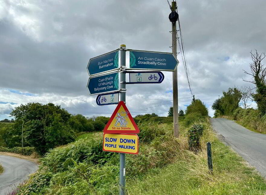 The Hideaway, Carriganna, Stradbally, X42P239