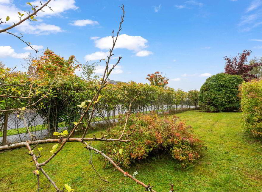 6 Beechwood Park, Tinahely, Y14YR61