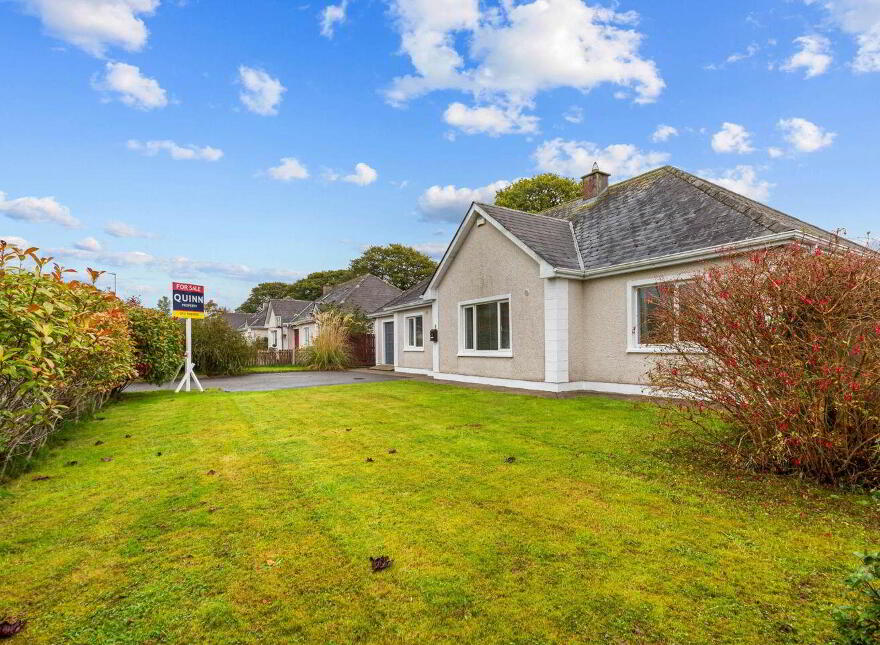 6 Beechwood Park, Tinahely, Y14YR61