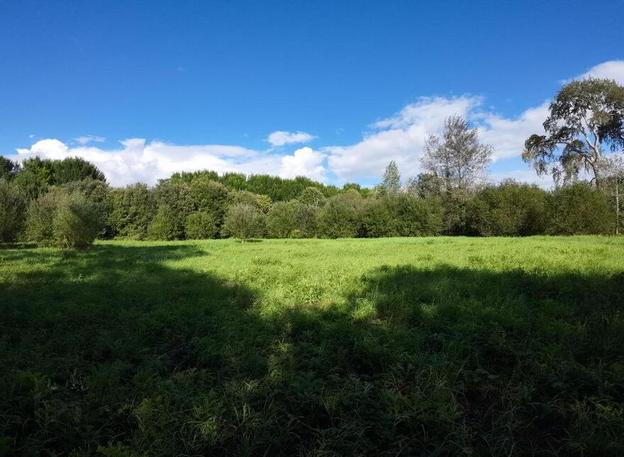 Adare, Adare