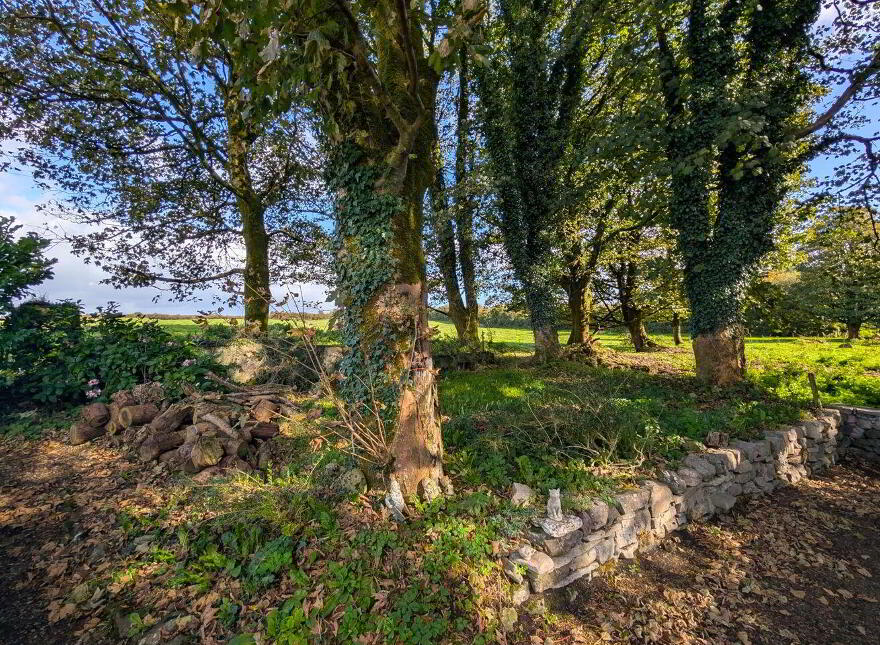 Mountaincommon, Aghamore, Aghamore, F35XF82