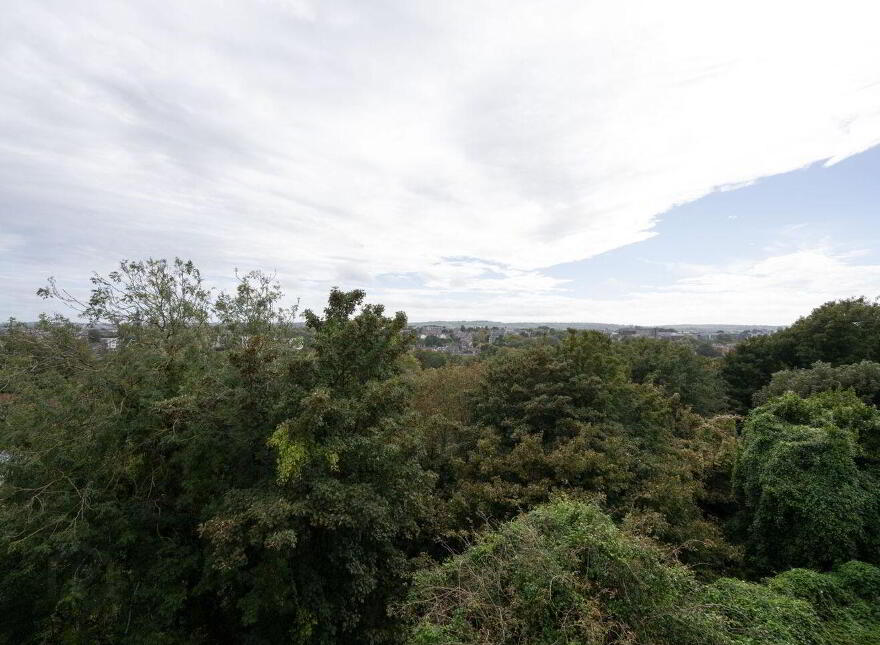 Hillcrest, 11 Sunday's Well Road, Sunday's Well, T23AH9W