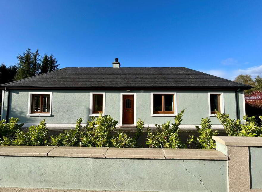 Mahanagh, Drumshanbo, N41N284