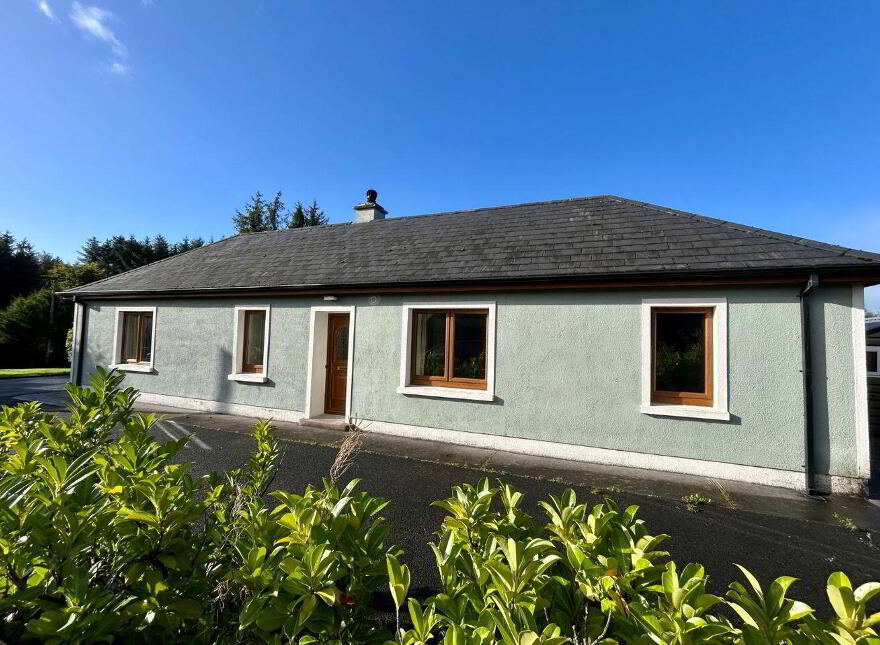 Mahanagh, Drumshanbo, N41N284