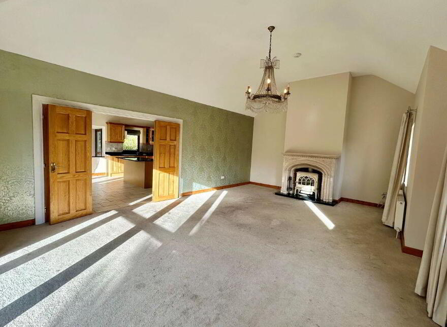 Mahanagh, Drumshanbo, N41N284