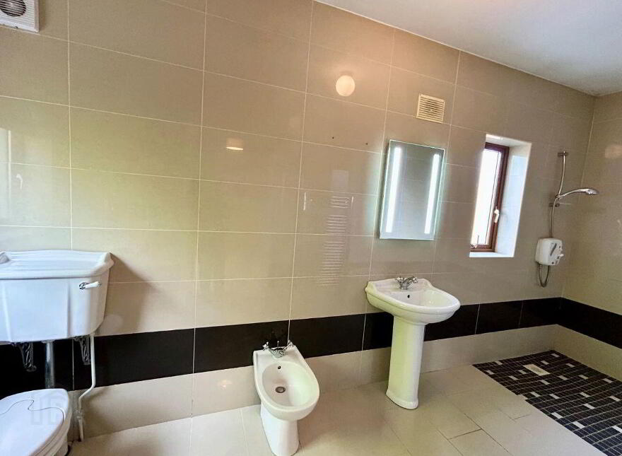 Mahanagh, Drumshanbo, N41N284