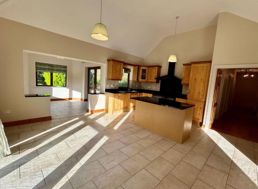 Mahanagh, Drumshanbo, N41N284
