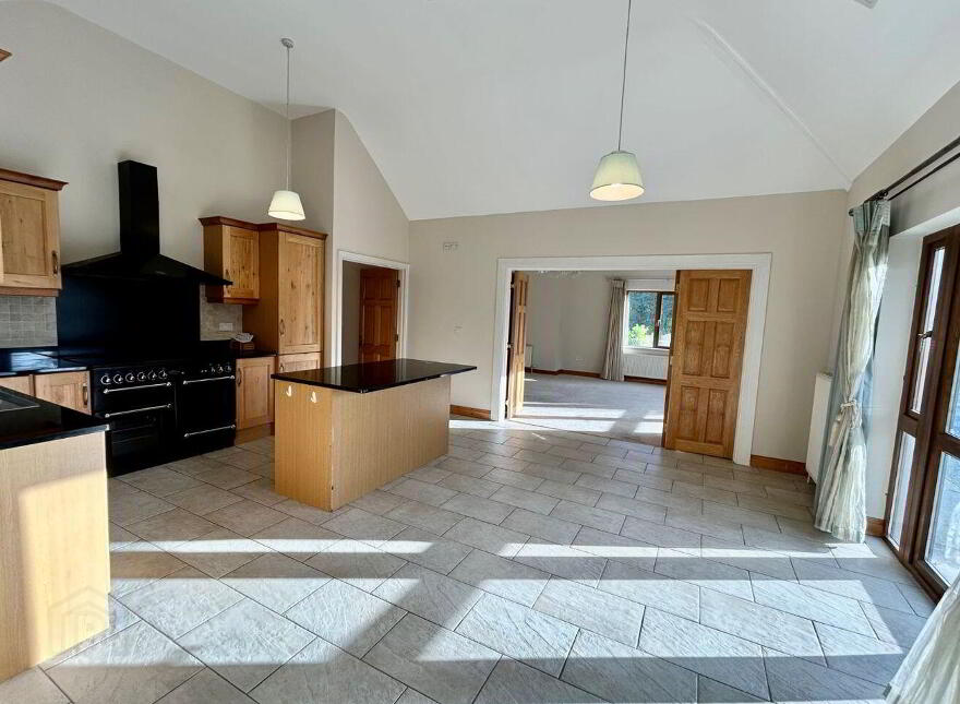 Mahanagh, Drumshanbo, N41N284