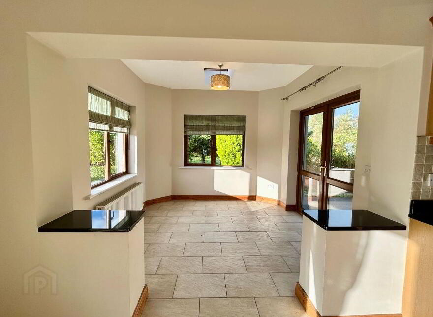 Mahanagh, Drumshanbo, N41N284