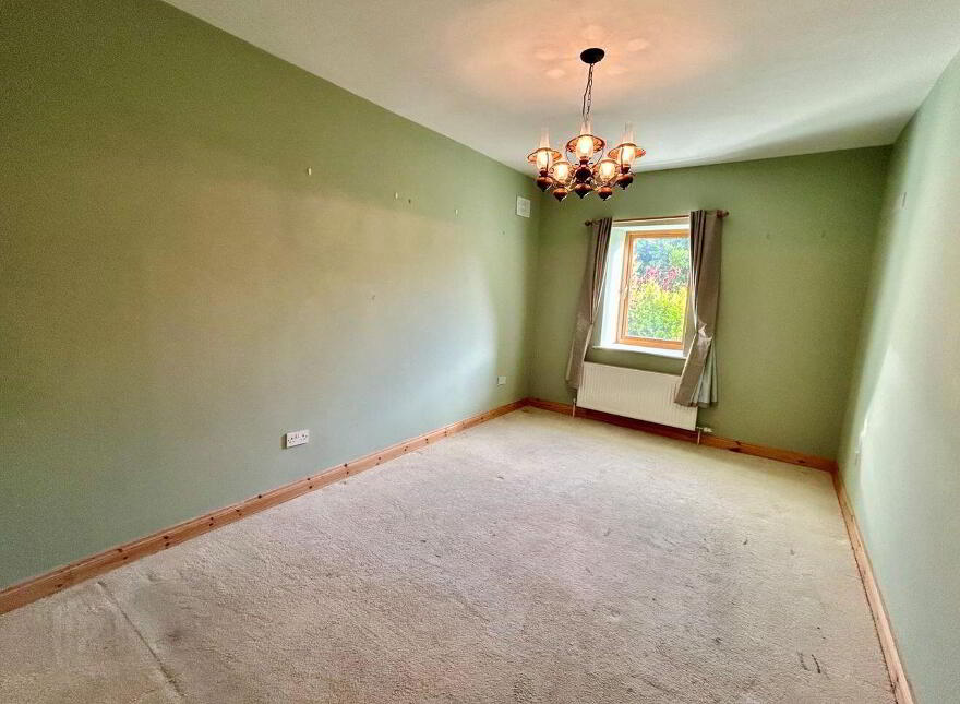 Mahanagh, Drumshanbo, N41N284