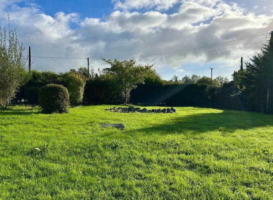 Mahanagh, Drumshanbo, N41N284