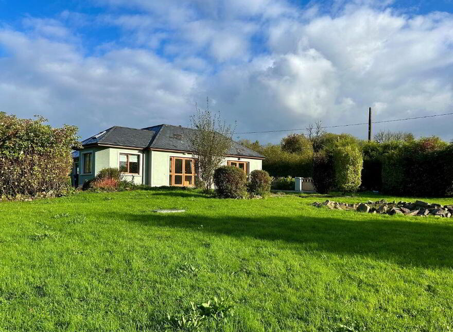 Mahanagh, Drumshanbo, N41N284