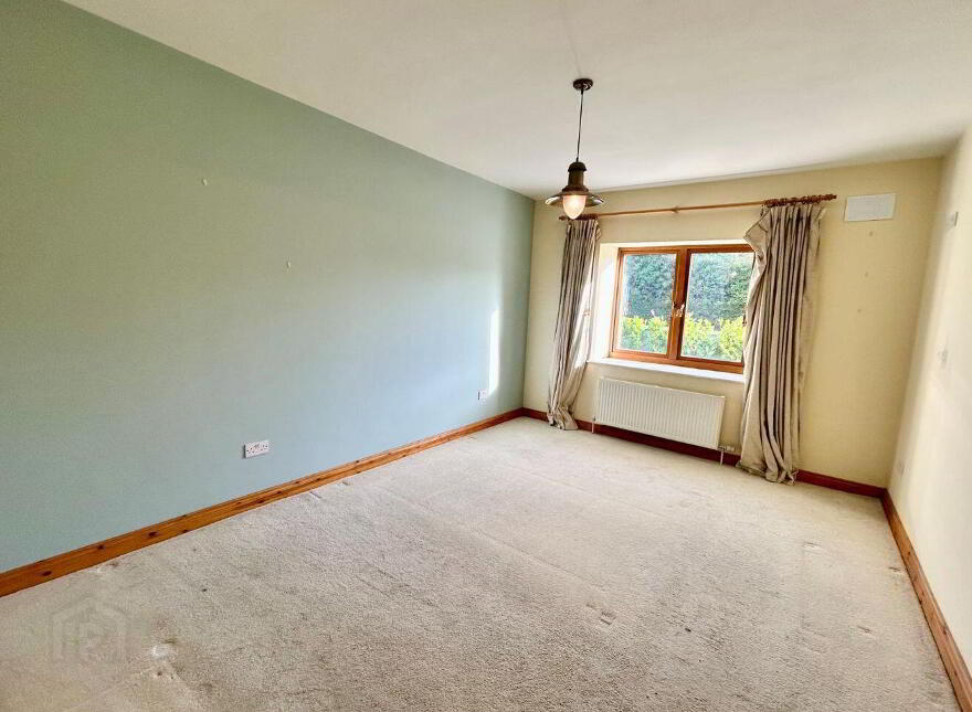 Mahanagh, Drumshanbo, N41N284