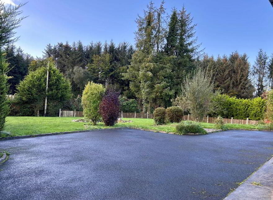 Mahanagh, Drumshanbo, N41N284