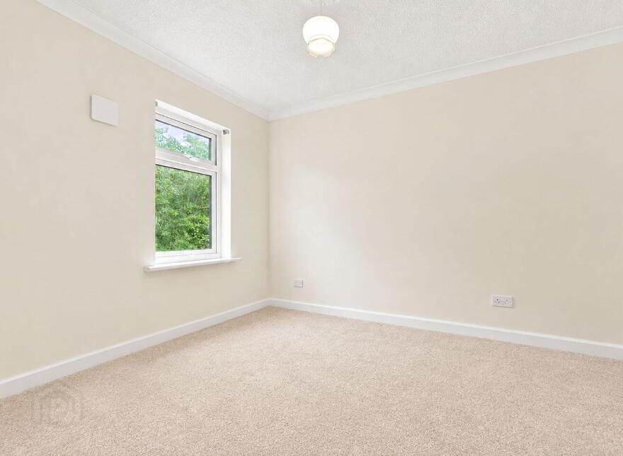 21 Peter Place, Dublin 2, D02HF57