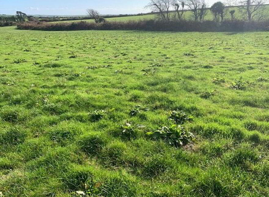 Kilruane, Rosscarbery