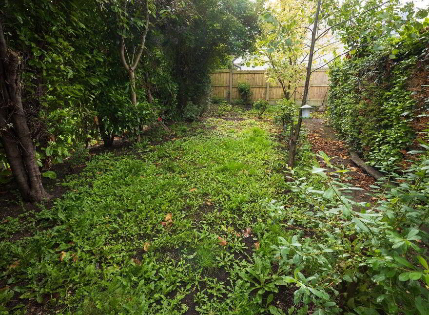Anngrove, 3 Westbourne Place, College Road, Cork City Centre, T12V8K5