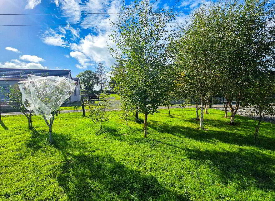 Croft Cottage, The Grove, Kilteevan, F42XY18