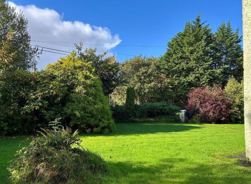 Spencer Harbour, Carrick-On-Shannon, N41R688