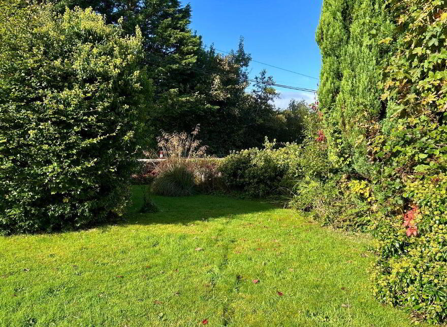 Spencer Harbour, Carrick-On-Shannon, N41R688