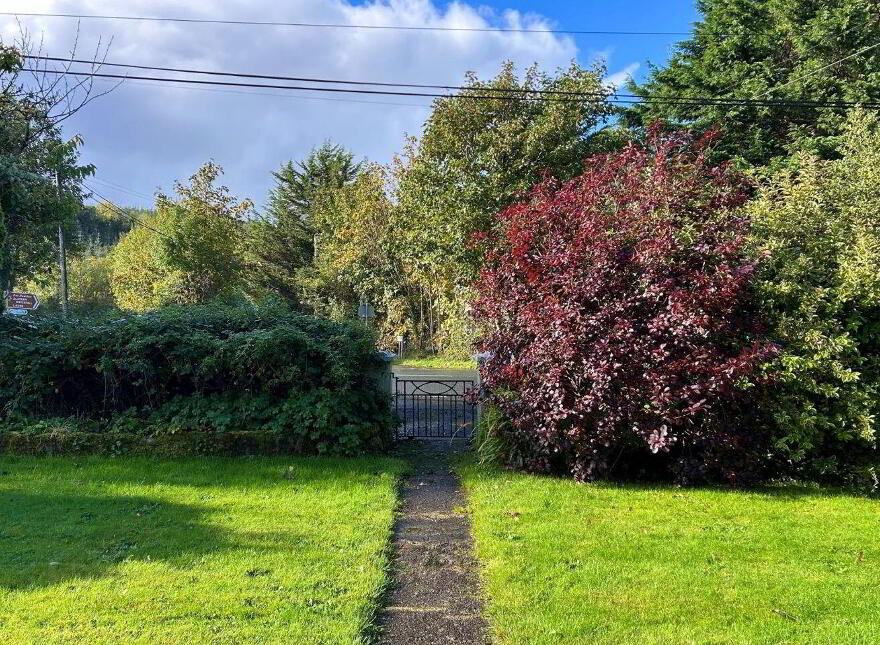 Spencer Harbour, Carrick-On-Shannon, N41R688