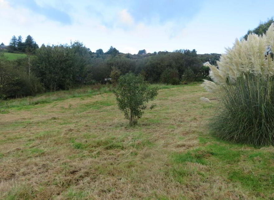 Threegneeves, Leap, P81FD72